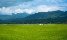 通过家居摆设达成财运积聚——教你如何布置家中增强招财效应