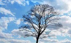 选择什么种类的鱼缸, 养什么类型的鱼, 才能让你的家居风水得到有效改善和提升?