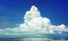 改写后的标题：养哪种鱼可以有效招财？探讨一些家居中最旺财的鱼类选择