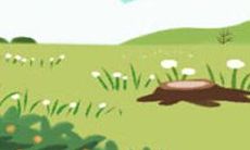 看相?下巴饱满丰隆的人的相貌特征和命运预测是什么?