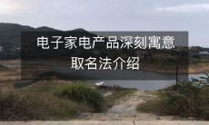 介绍电子家电产品命名的深刻寓意和技巧,以及如何根据品牌理念和目标用户精准取名的方法指南