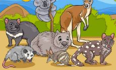 老板办公室内部以及风水配置方案及其影响的综合探讨