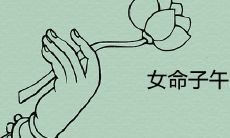 什么是女性命书中「子午卯酉」的意义,对性格和命运有何影响?