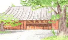 深入了解饮食文化:麻婆豆腐源于哪个地区的哪个菜系?