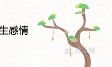 探索生辰八字并解读其影响:既实现对感情姻缘的深度了解,又揭示生命命运走势