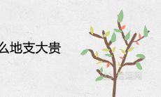 属,走成功之路?