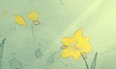 透解手相:探寻指甲上的月牙图案所涵盖的象征意义