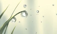 如何通过测量TA的情感反应来确定TA是否会因失去你而感到在意？