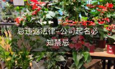 在公司起名时务必避免违反法律规定的禁忌,这是必须了解的重要事项!