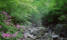 哪些星座的孩子在开学时迫不及待地远离家庭并倍感兴奋?