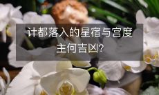 事实揭示:宫度主何吉凶,以及星宿与宫度主的交互作用是否能决定计都落入吉凶的命运?