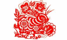 1987年出生的生肖兔和2023年出生的生肖兔的八字是否匹配？