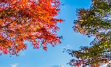 避免坐背门而言:从风水角度谈办公室摆设的原则与注意事项