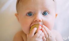 星辰名字忌讳与生肖兔相关的取名忌讳字详解