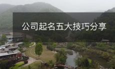分享五大起名公司的技巧，帮助你创造一个有创意和独特的品牌名称