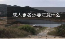 在成年人更名的过程中,需要了解哪些必要注意事项?