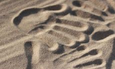 什么命最适合成为沙中土命的最佳配偶？配对攻略揭秘