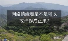 网络上的恋爱是否能够成功并转化为长久的关系?