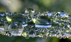 探讨水命的六种分类,探究各自的优劣,以及传说中的说法和意义