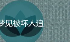 梦见被恶意追逐，是否意味着你在现实生活中面临着某种压力或不安全感？