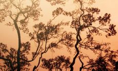 全面解析金木水火土五行查询表,包含详细内容和实用技巧