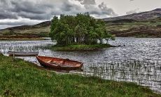 用风水来招财,可选择哪些物品适合放置于家中?