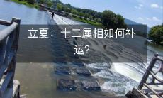 如何在立夏时期用十二生肖来进行运势补救？