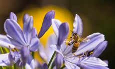 探讨八字中天干双透的含义:当天干透双癸时意味着什么?