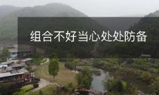 如何防备组合不好的风险：指南