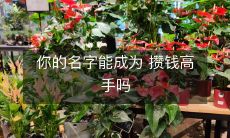 通过改变消费习惯,你的姓名是否能成为变成攒钱高手的关键?