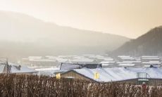 2020年庚子鼠年大寒节气初八,是否适宜于进行黄道吉日的活动?