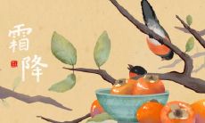 探寻2020年农历九月份有哪些值得庆祝的幸运日子,并探讨霜降节气落地后,哪些日期仍值得期待