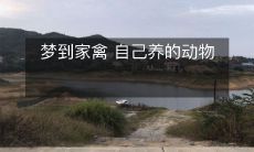 做了现实！从梦里走出来，亲手养家禽，让自己的生活更具实感