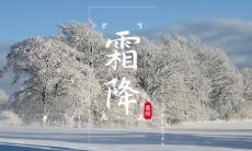 2020年农历九月开工吉日排期表:详细介绍2020年九月初七霜降日是否适宜开工?