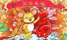 如何确定2020年农历十一月对应的阳历月份?详解阳历和阴历的区别及应用