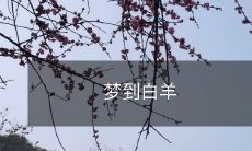 梦见白羊追逐自己，让人疑惑的潜意识之旅