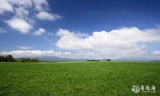 解读出生于十灵日的女孩子的八字特征及其极高的灵性水平