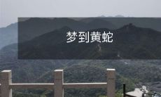 在梦中遇见的黄蛇:一个充满神秘、振奋人心且充满心理暗示的梦境体验