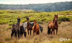 2023年2月18日属马人的运势:表现出强烈的自律精神