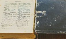 生辰查询五行表:查金木水火土五行属性命运