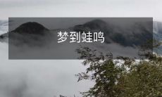 今夜梦中听到蛙鸣,如音乐般悠扬清晰,打破沉寂的夜晚带来神秘与魅力