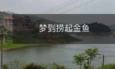 在梦中经历了捞起一条闪闪发光的金鱼的神奇之旅