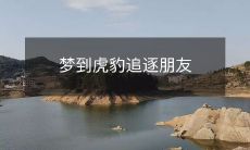 梦中遭遇虎豹追逐狂飙,又带着好友一起陷入其中的惊险经历