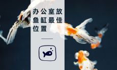 如何确定办公室内放置鱼缸的最佳位置？