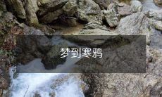 在寒冬夜晚梦见窗外栖息的寒鸦，深入探索潜意识与灵性境界的奇妙梦境