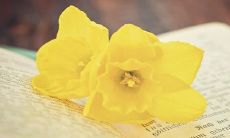 用五行理论的准确婚配分析表格，结合最实用的速记口诀，帮你成功婚姻配对