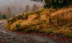 路旁土的含义及最佳婚配表详细解析