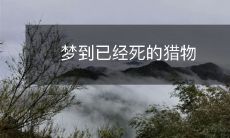 在梦中遭遇已经离世的猎物,让人深感无助与哀伤