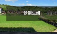 在梦中看到自己周围生蛆:带来恶心感和不安的令人惊骇的梦境体验