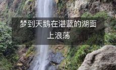 梦见湛蓝湖面上翩翩起舞的天鹅游荡漫步